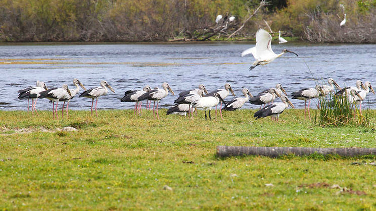 Chundikulam Accommodations