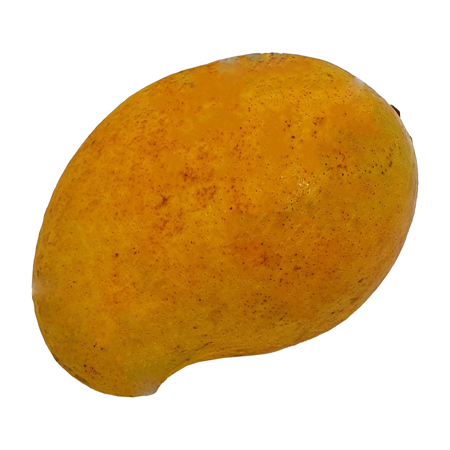 アルフォンソマンゴー (1kg)