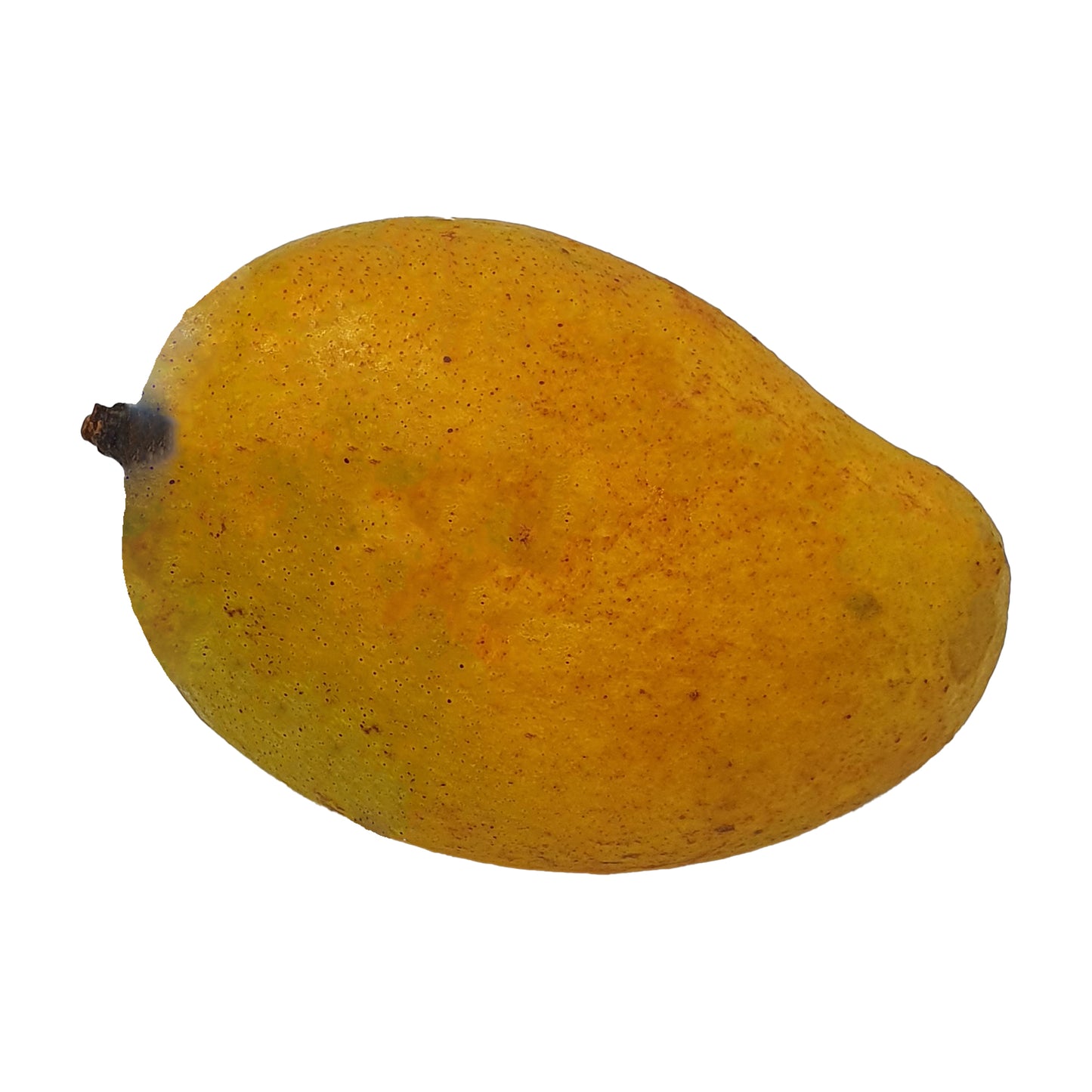 アルフォンソマンゴー (1kg)