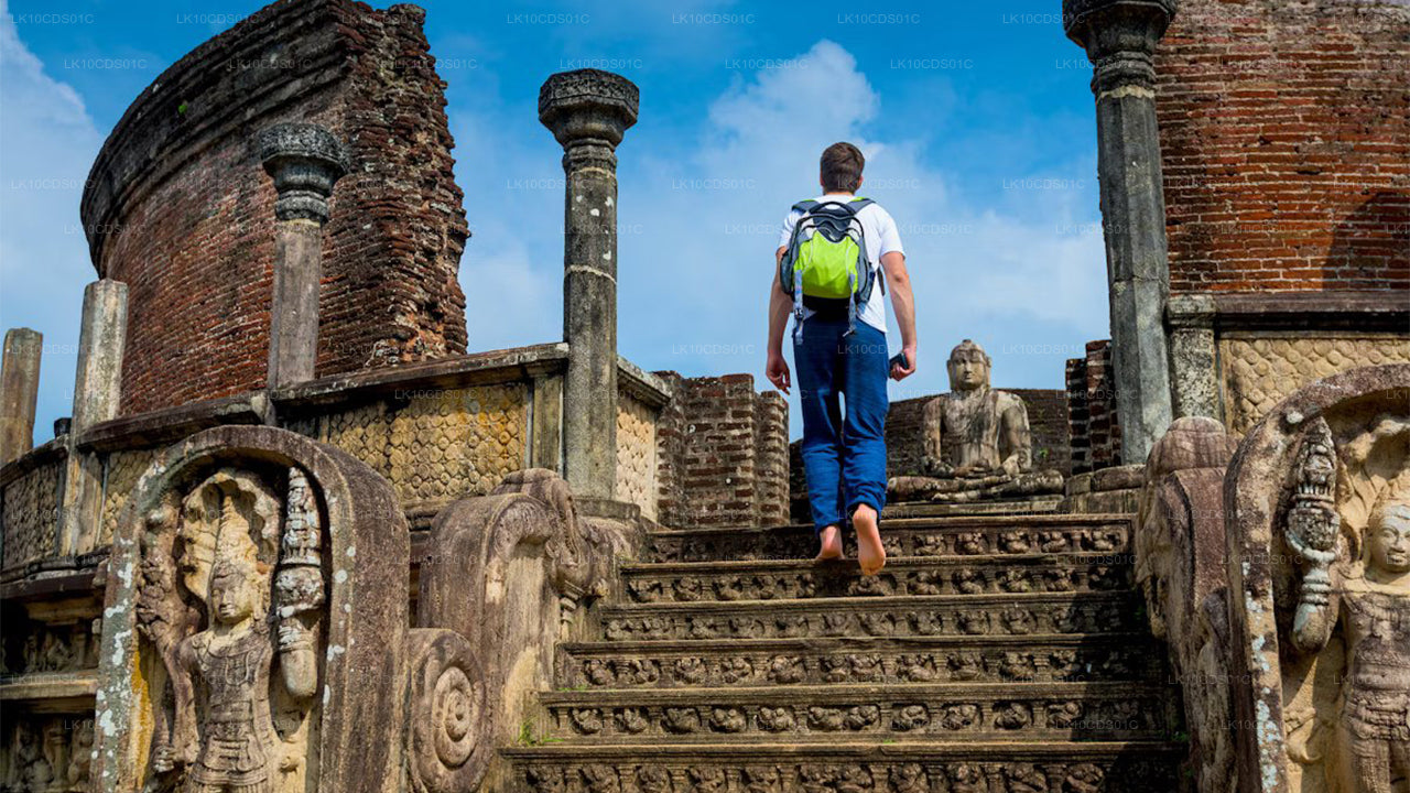 列車で巡るスリランカのハイライト（12）