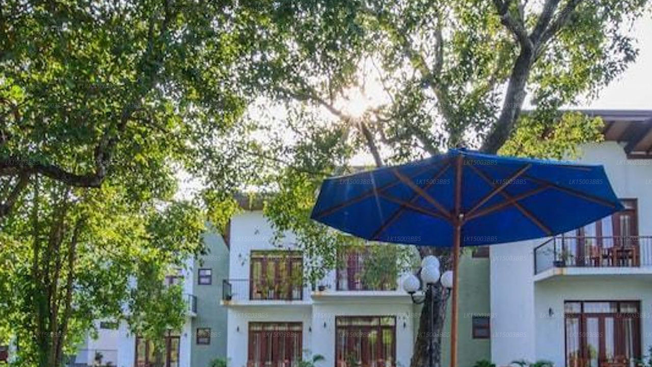 ウェワアダラホテル、シギリヤ