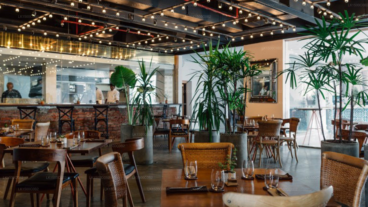 フェアウェイコロンボ、コロンボ