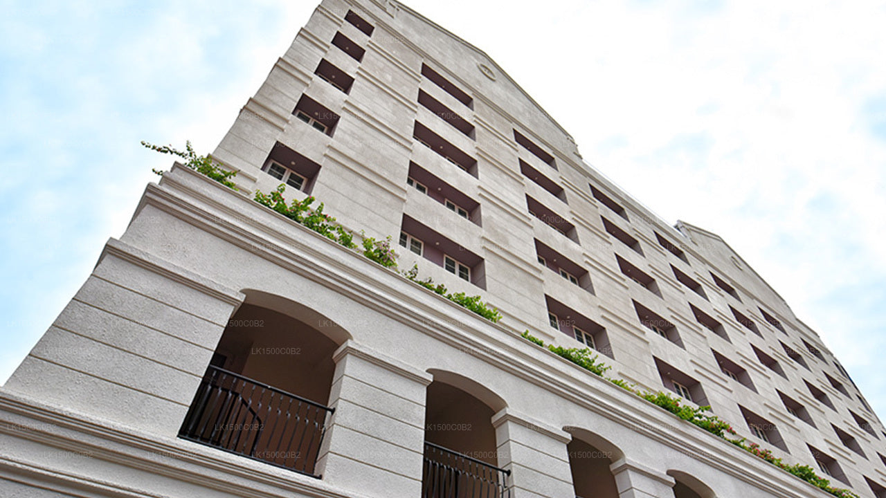 フェアウェイコロンボ、コロンボ