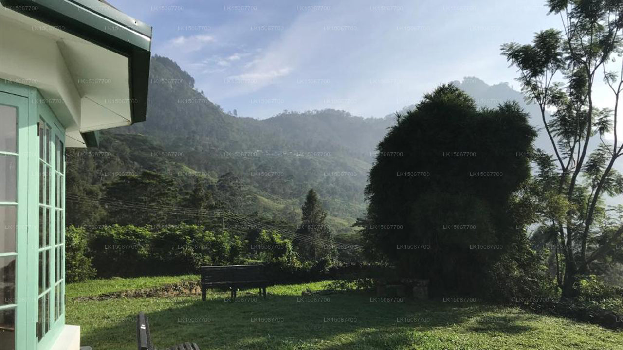 ミヒドゥム・ピヤサ、ハルドゥムラ