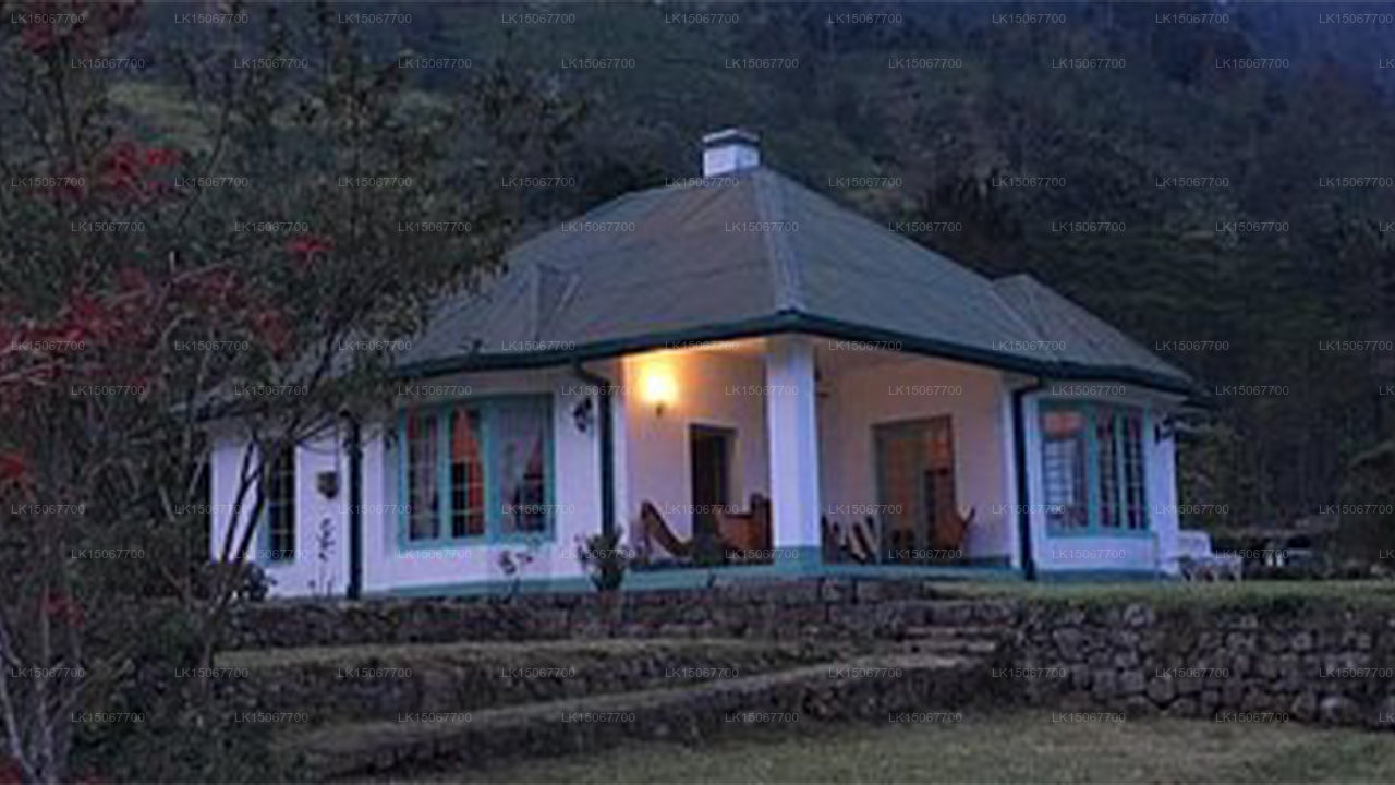 ミヒドゥム・ピヤサ、ハルドゥムラ