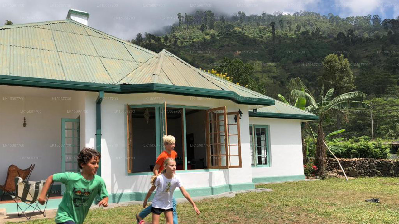 ミヒドゥム・ピヤサ、ハルドゥムラ