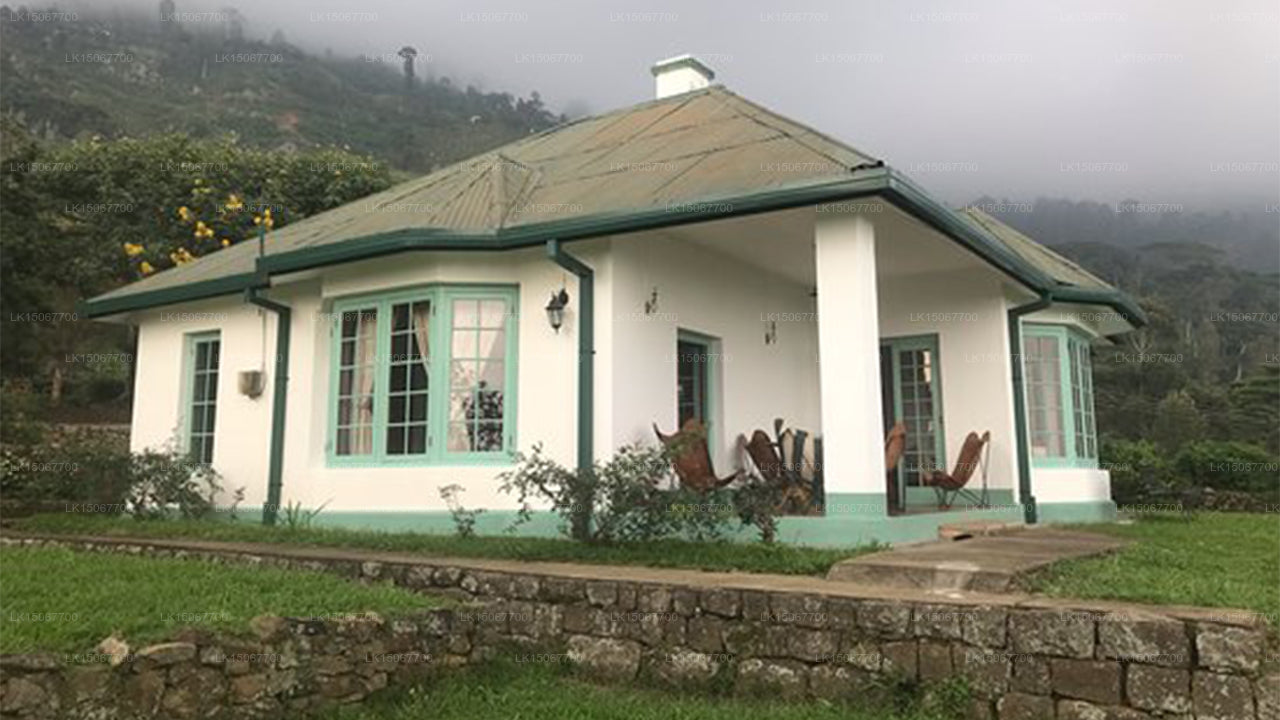 ミヒドゥム・ピヤサ、ハルドゥムラ