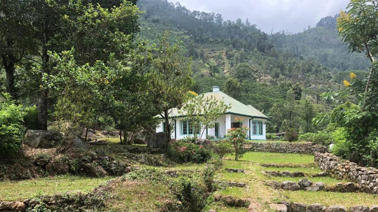 ミヒドゥム・ピヤサ、ハルドゥムラ