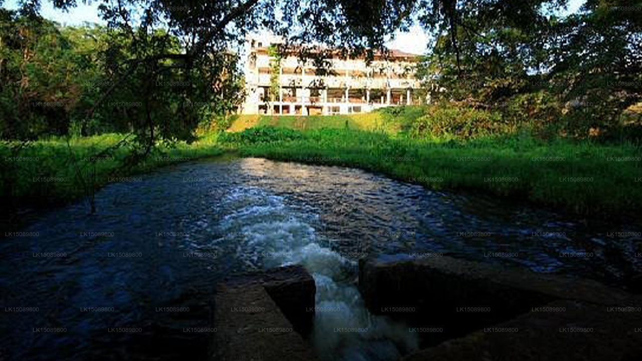 ソロワ リゾート アンド スパ (ハバラナ)