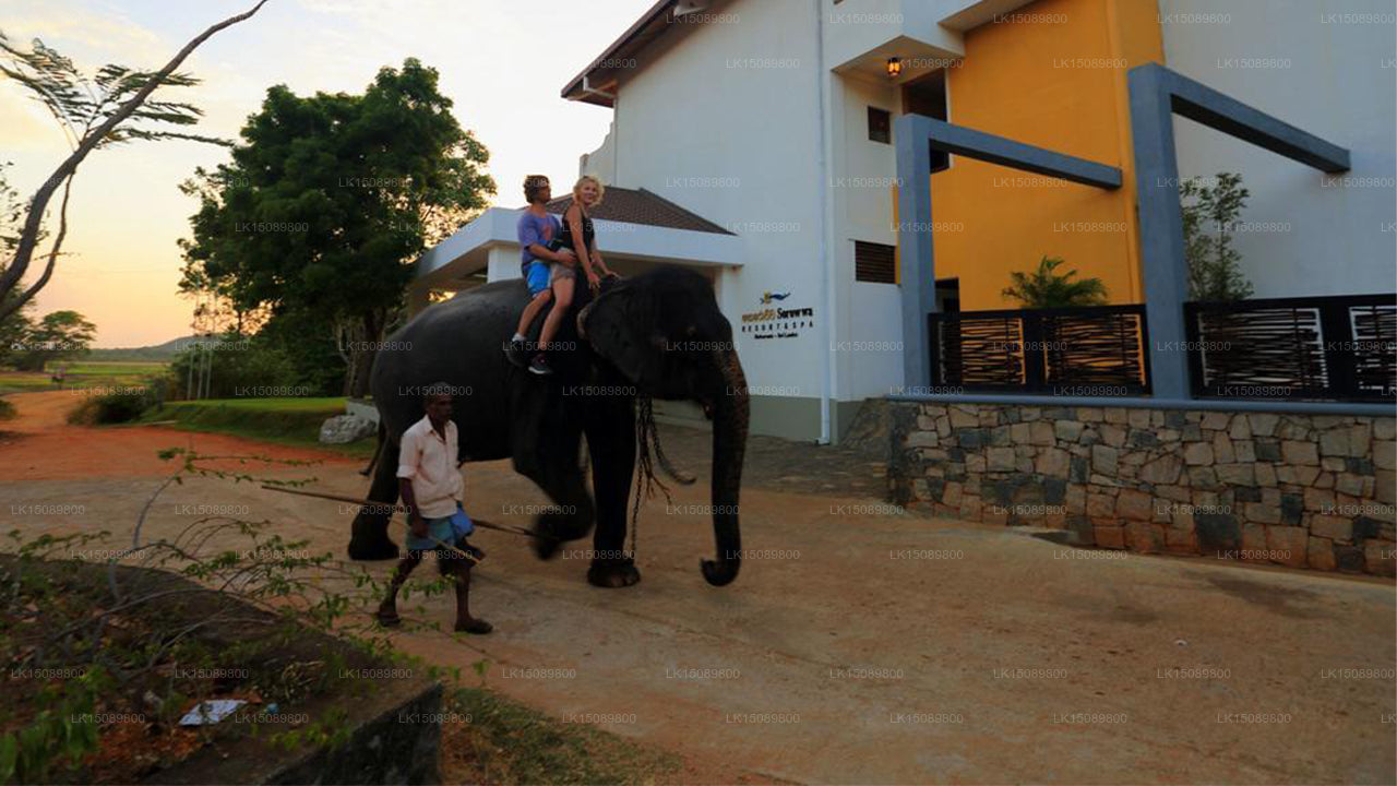 ソロワ リゾート アンド スパ (ハバラナ)