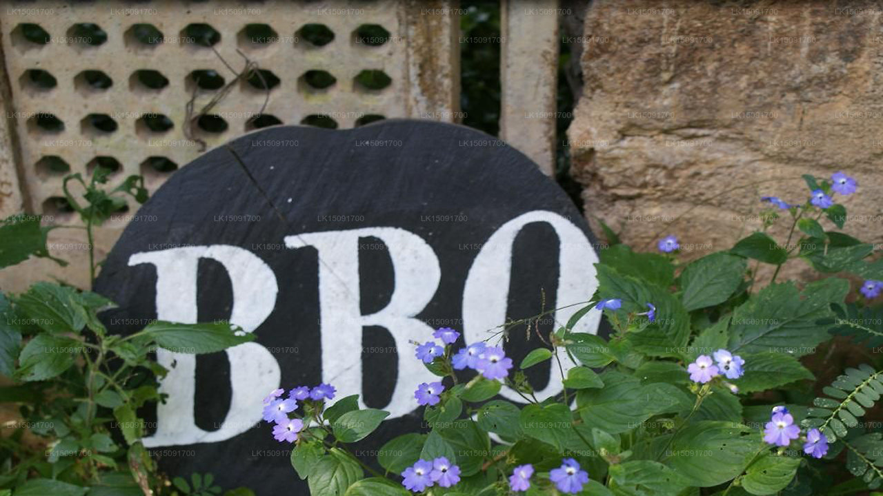 Dell Holiday Home, Bandarawela