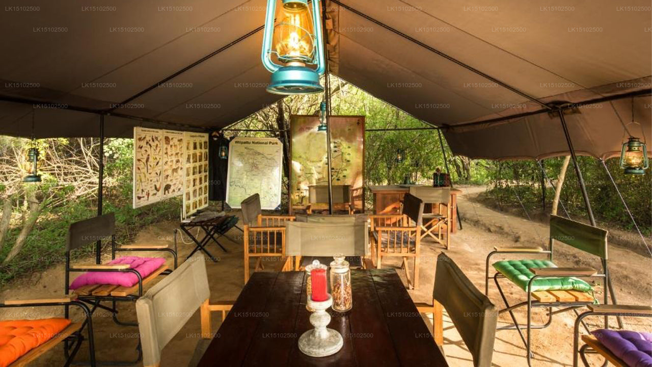 Mahoora Safari Camping, Wilpattu