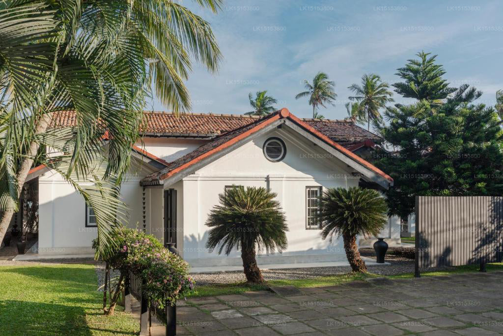 ココタンガラ、タンガラ