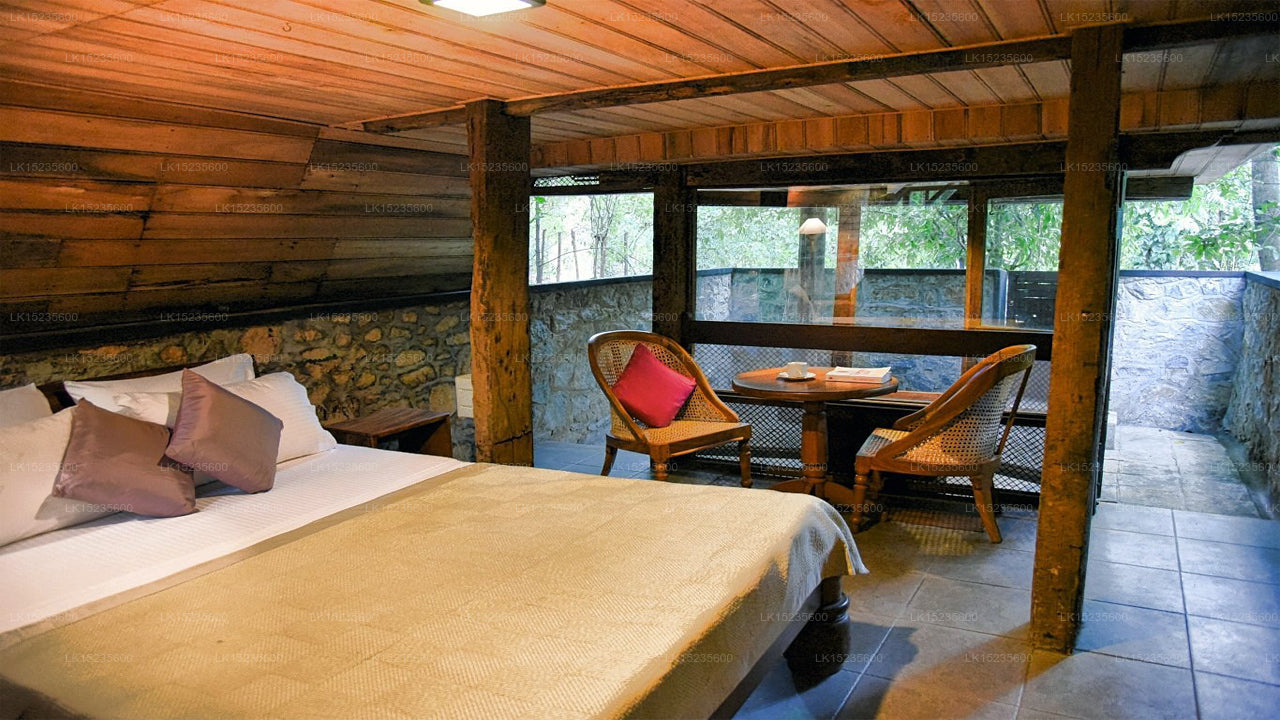 Diyabubula the Barberyn Art & Jungle Hideaway, Dambulla