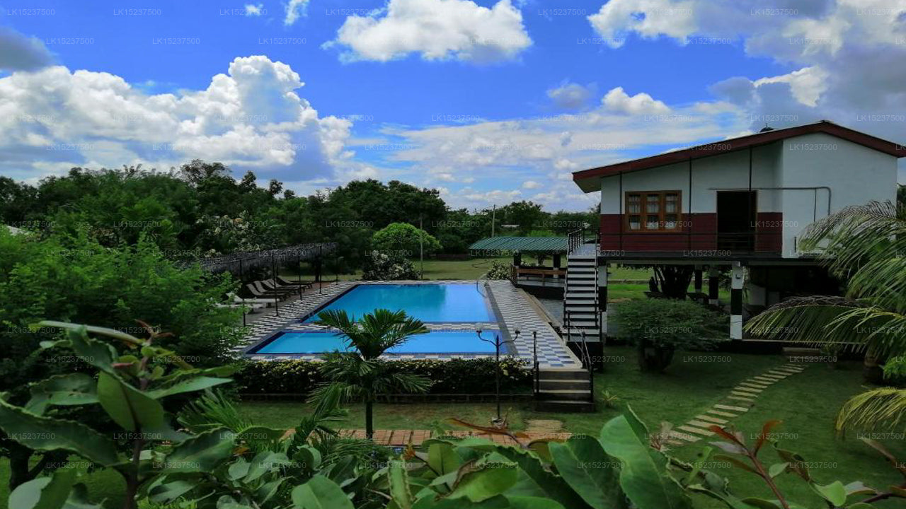 Eco Hotel Black & White, Anuradhapura