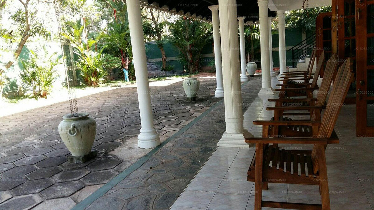 Negombo Village Guest house ,Negombo