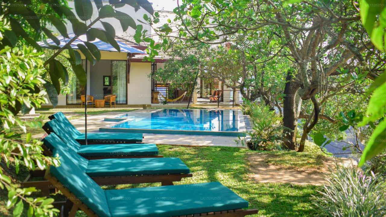 Hemingford, Pussellawa