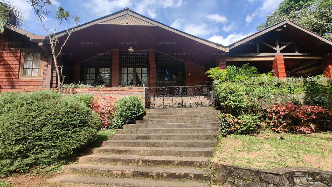 Homes Bungalow by Tree of Life, Kandy