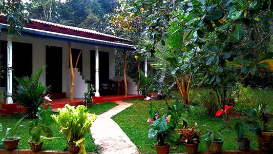 Nethmi Homestay, Dambulla