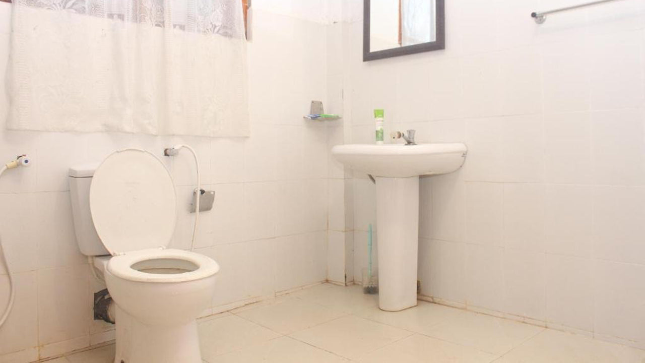 Artist cottage, Haputale