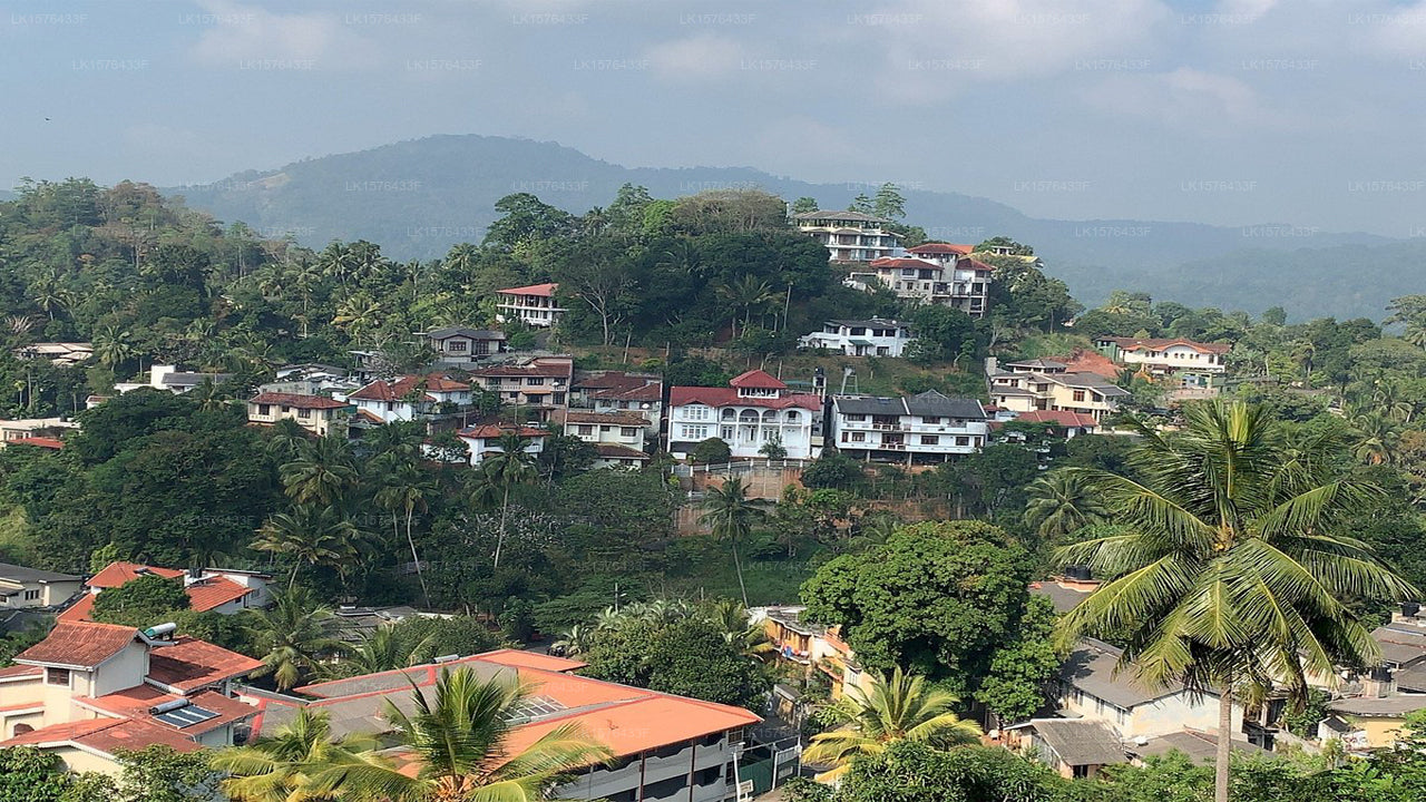 Cloud Nine Lanka Resort, Kandy