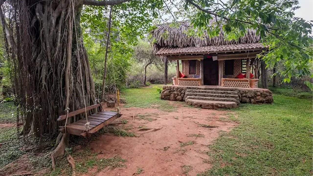 Banyan Camp, Thanamalwila