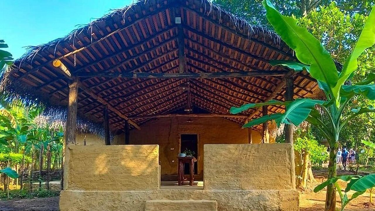 Countryside farming by Athgira, Udawalawe