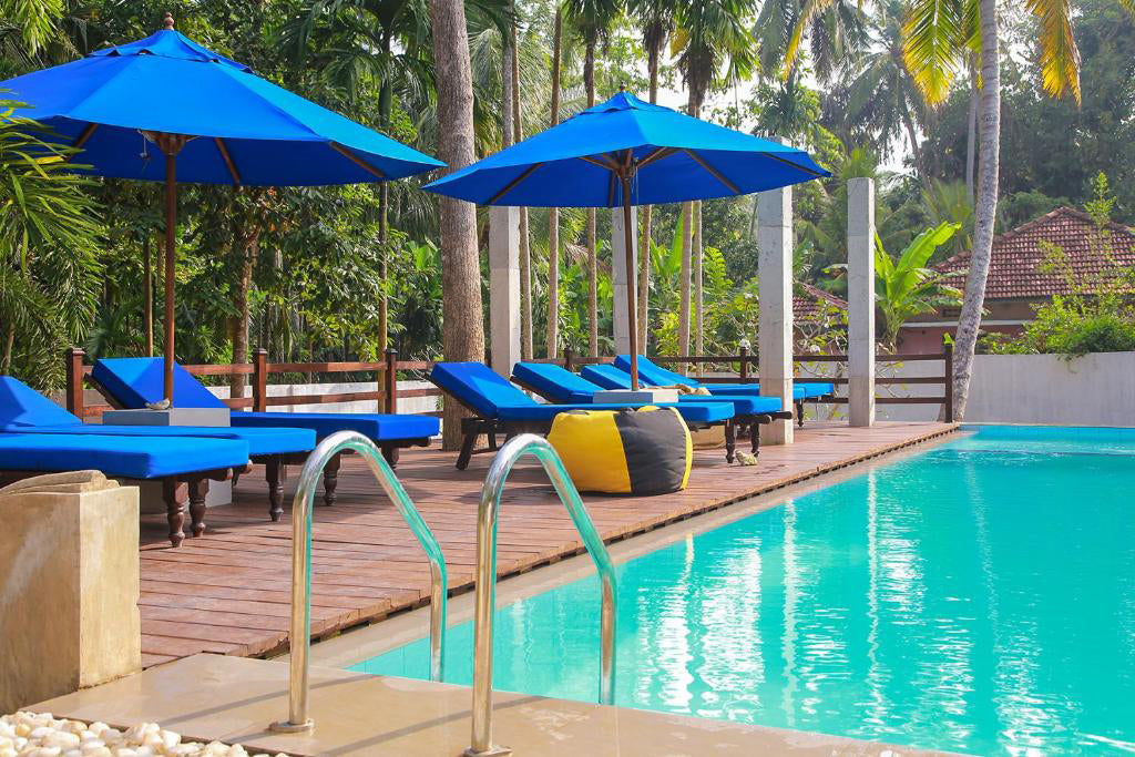 モーニングスター、ミリッサ