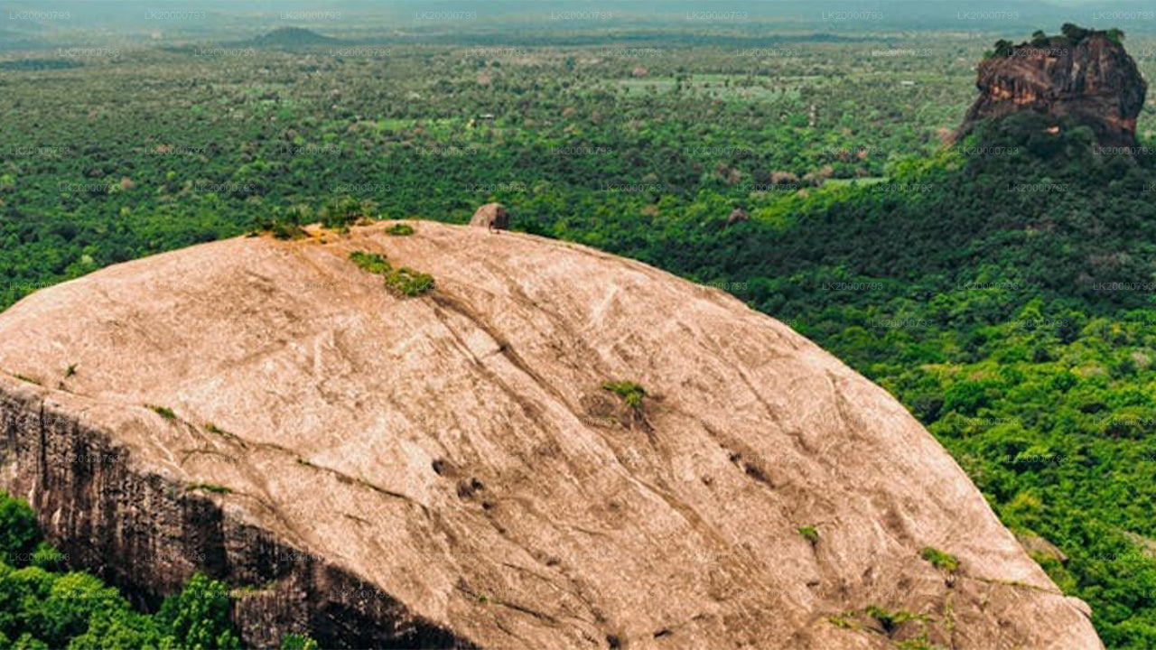 ピドゥランガラ島ガイド付きツアー（入場券付き）