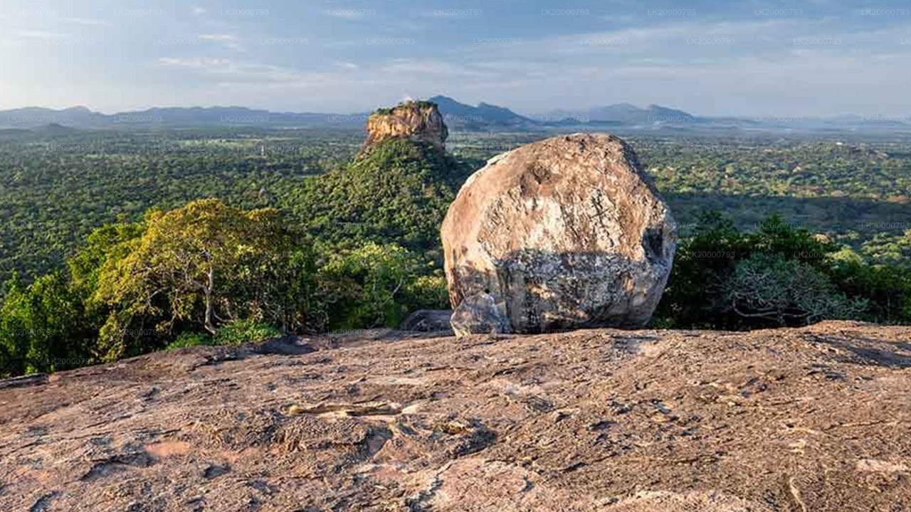ピドゥランガラ島ガイド付きツアー（入場券付き）