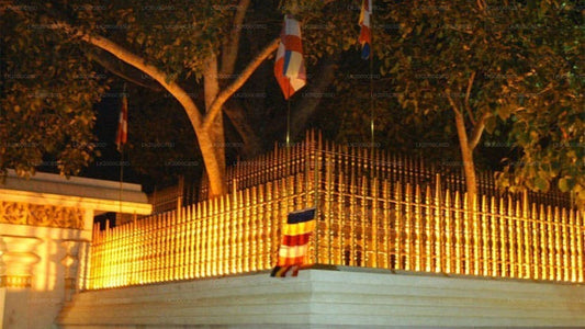 アヌラーダプラ聖地ガイドツアー（入場券付き）