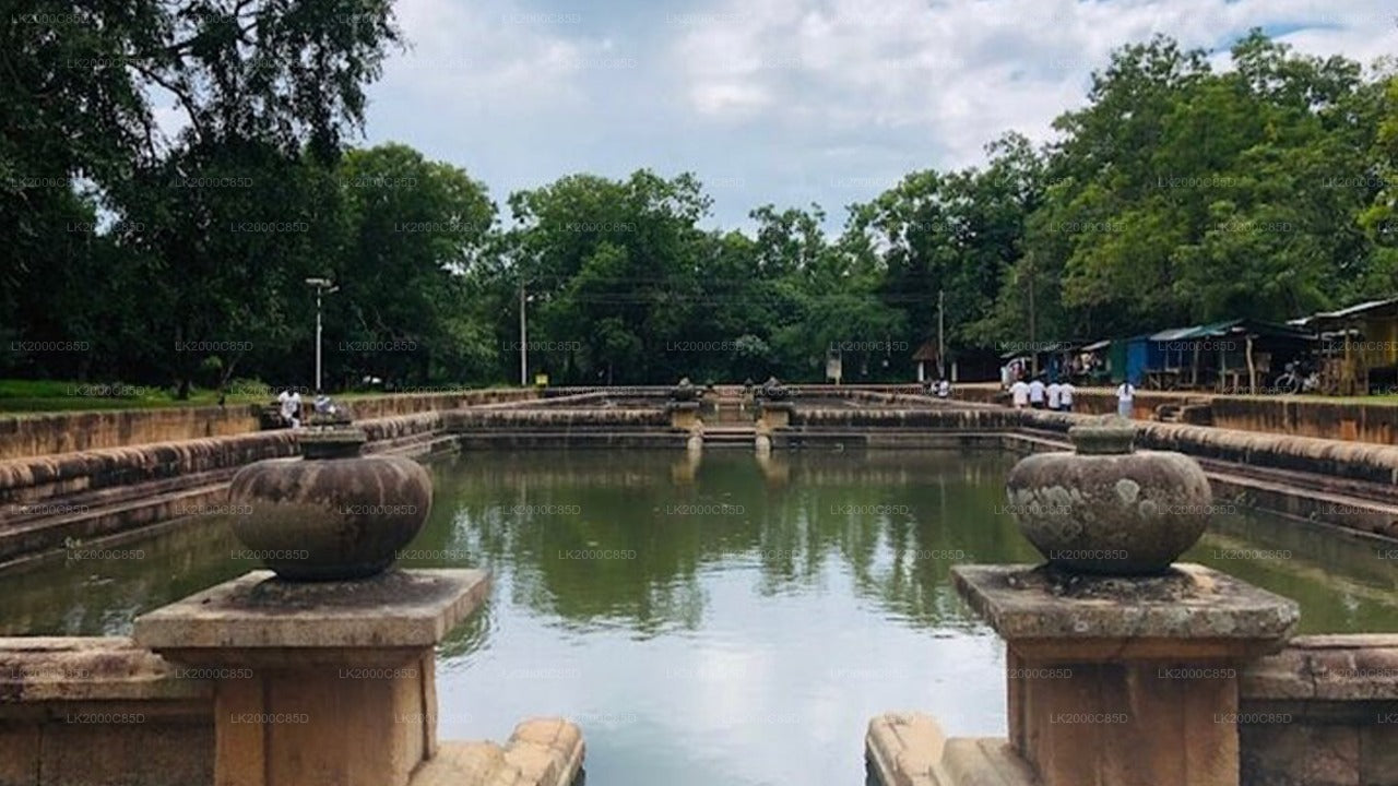 アヌラーダプラ聖地ガイドツアー（入場券付き）