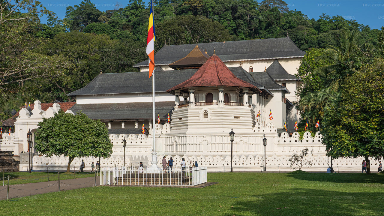 ローカルガイド