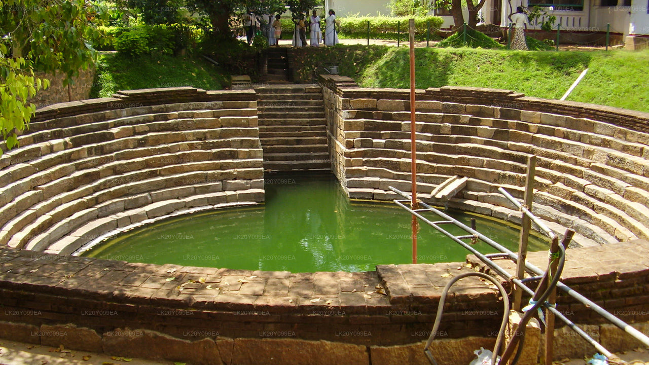 ローカルガイド