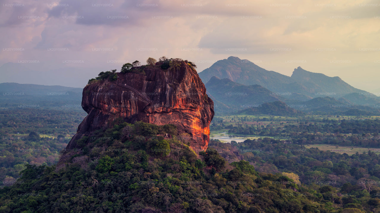 ローカルガイド