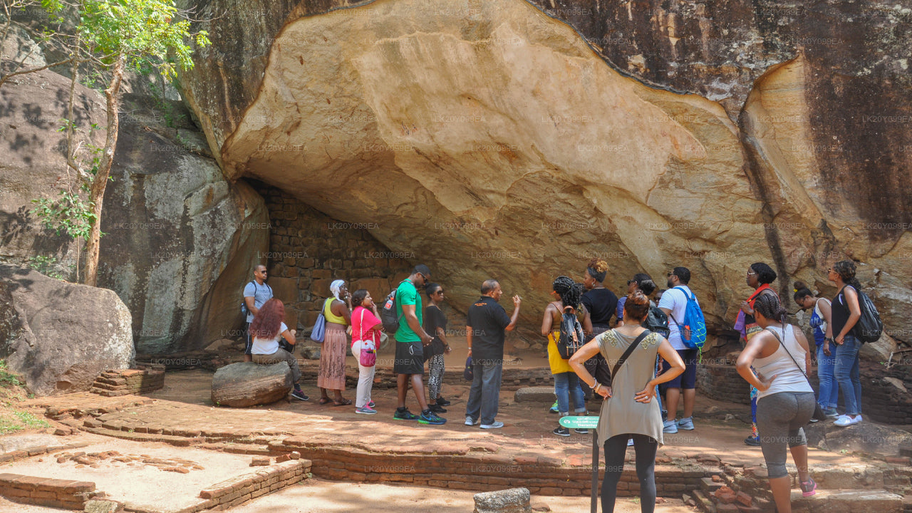 ローカルガイド