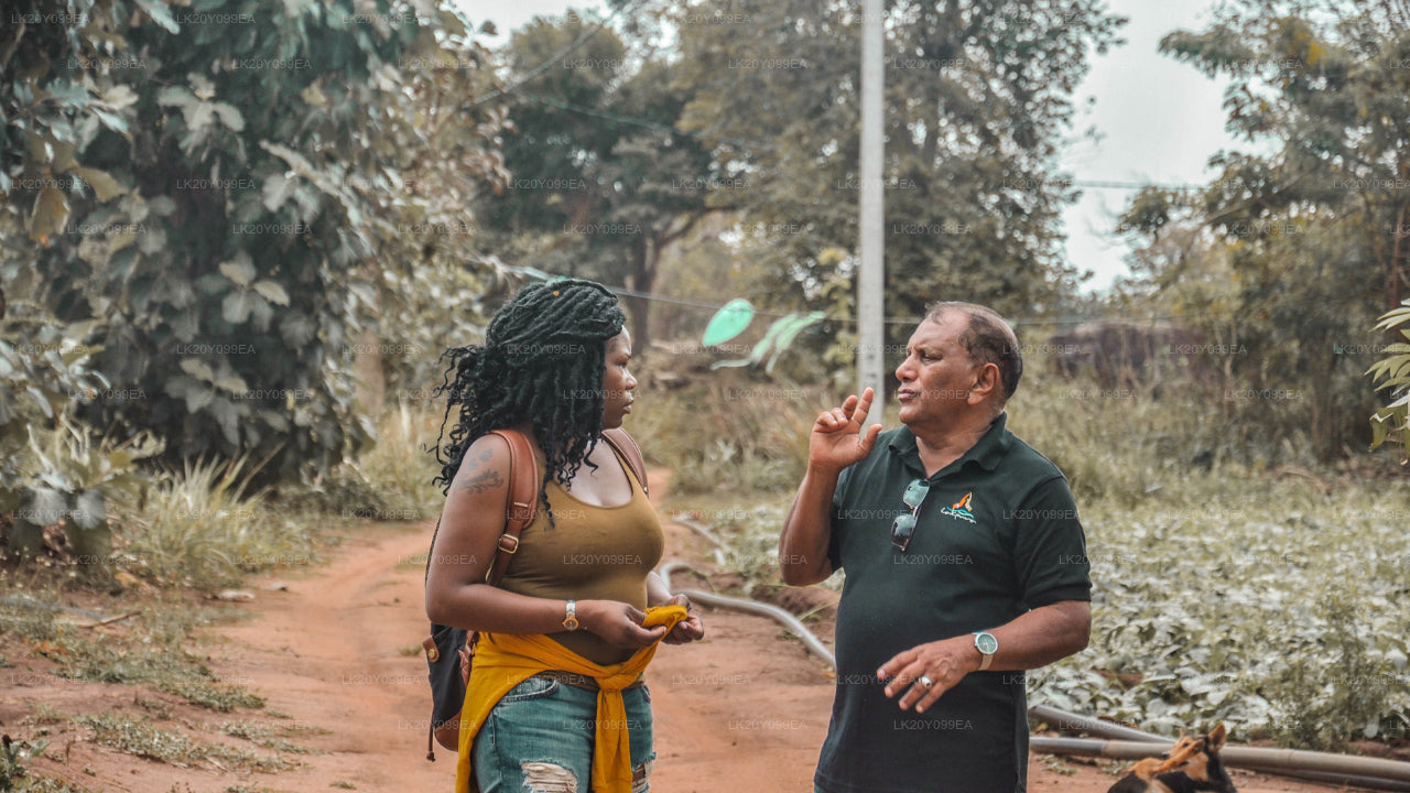 ローカルガイド