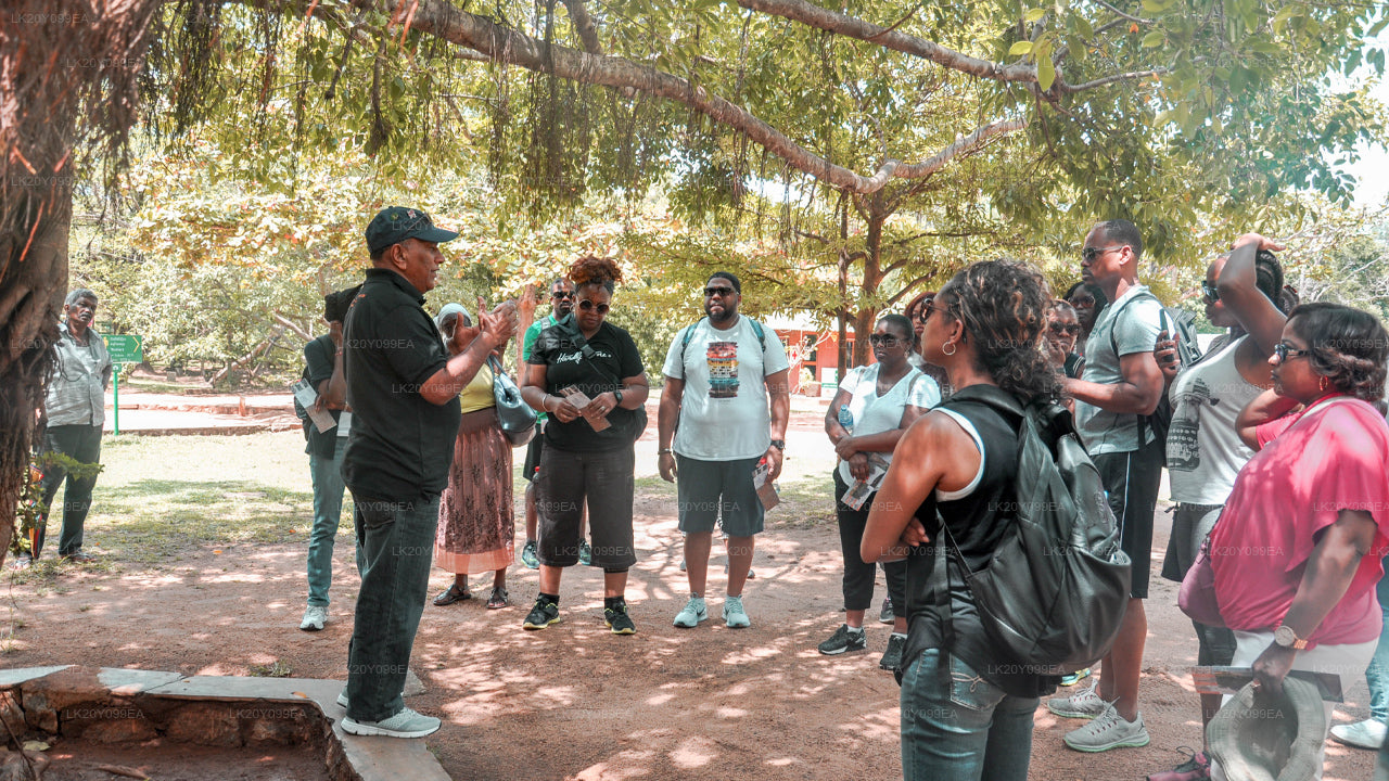 ローカルガイド