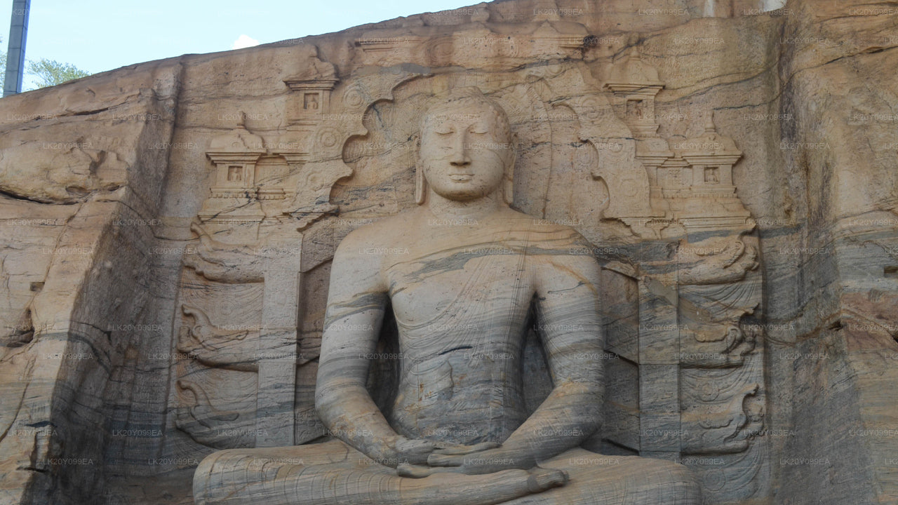 ローカルガイド