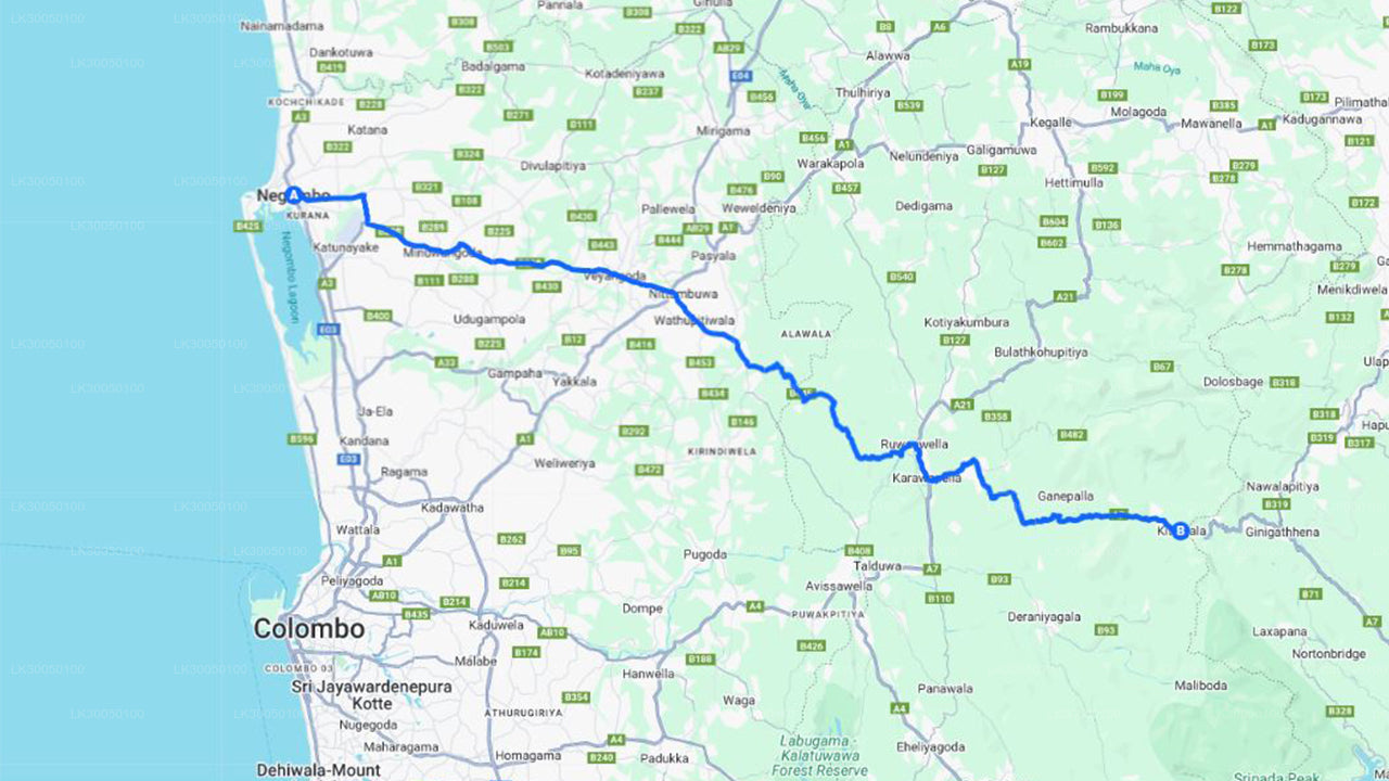 ニゴンボからのホワイトウォーターラフティング