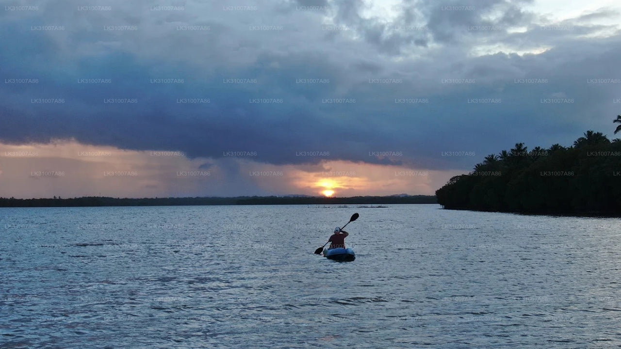 ネゴンボ発ラグーンカヤックツアー