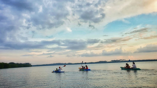 ネゴンボ発ラグーンカヤックツアー