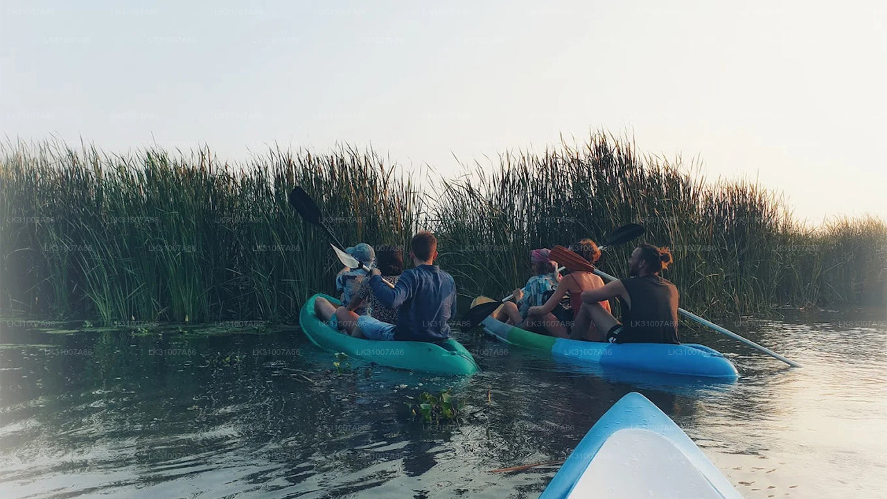 ネゴンボ発ラグーンカヤックツアー