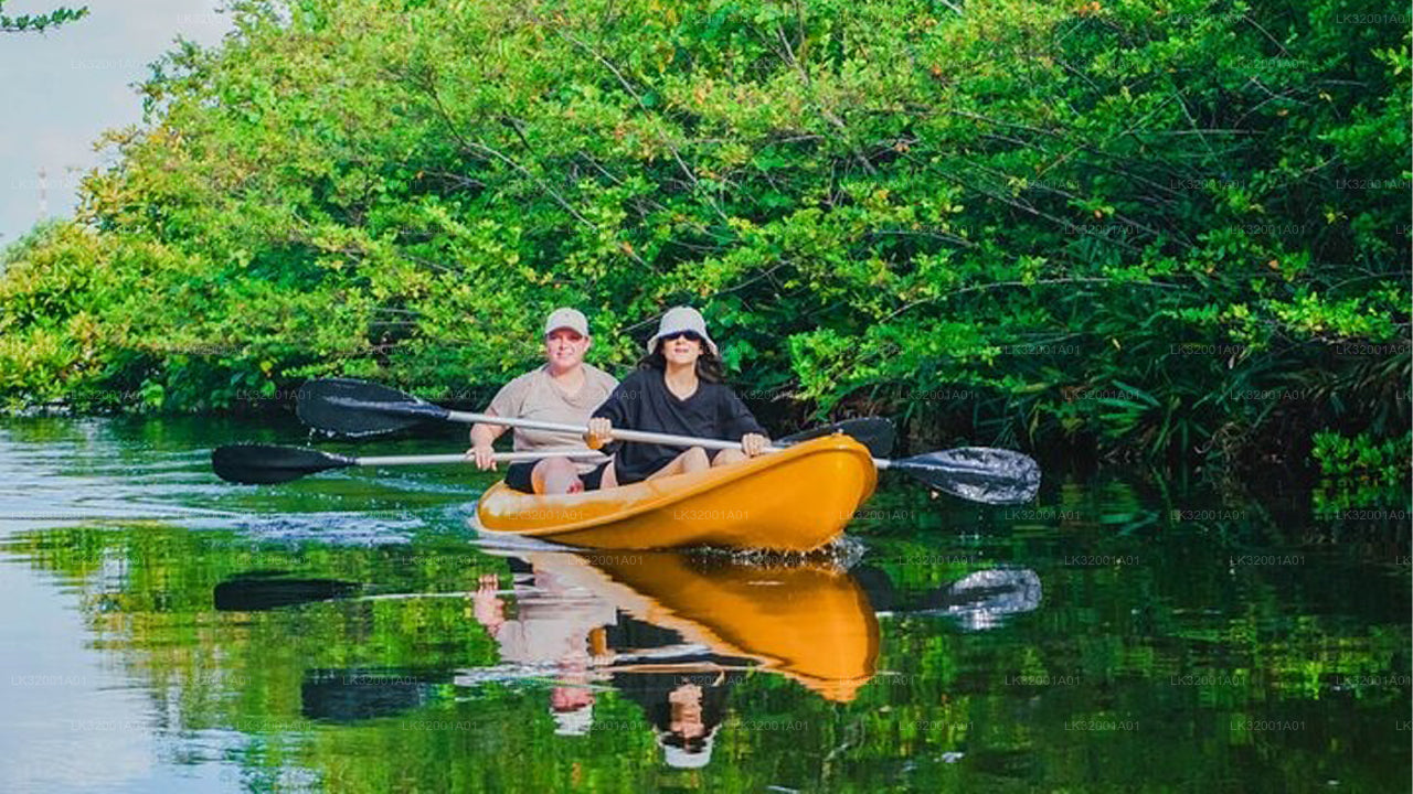 Lagoon Canoeing from Galle
