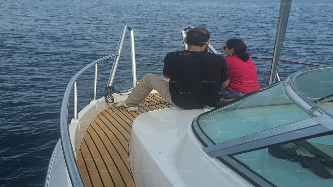 ミリッサ発、豪華スピードボートで行くプライベートホエールウォッチングツアー