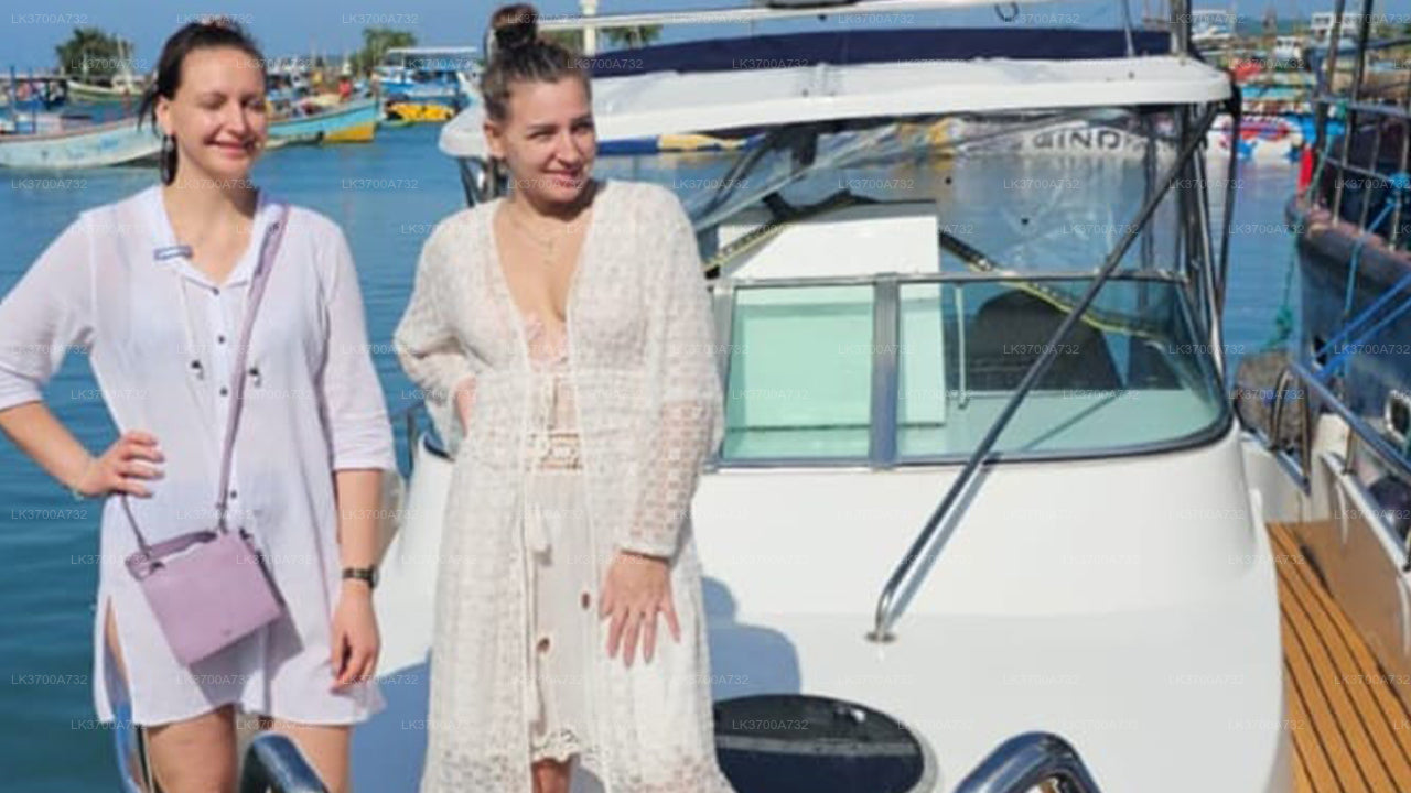 ミリッサ発、豪華スピードボートで行くプライベートホエールウォッチングツアー