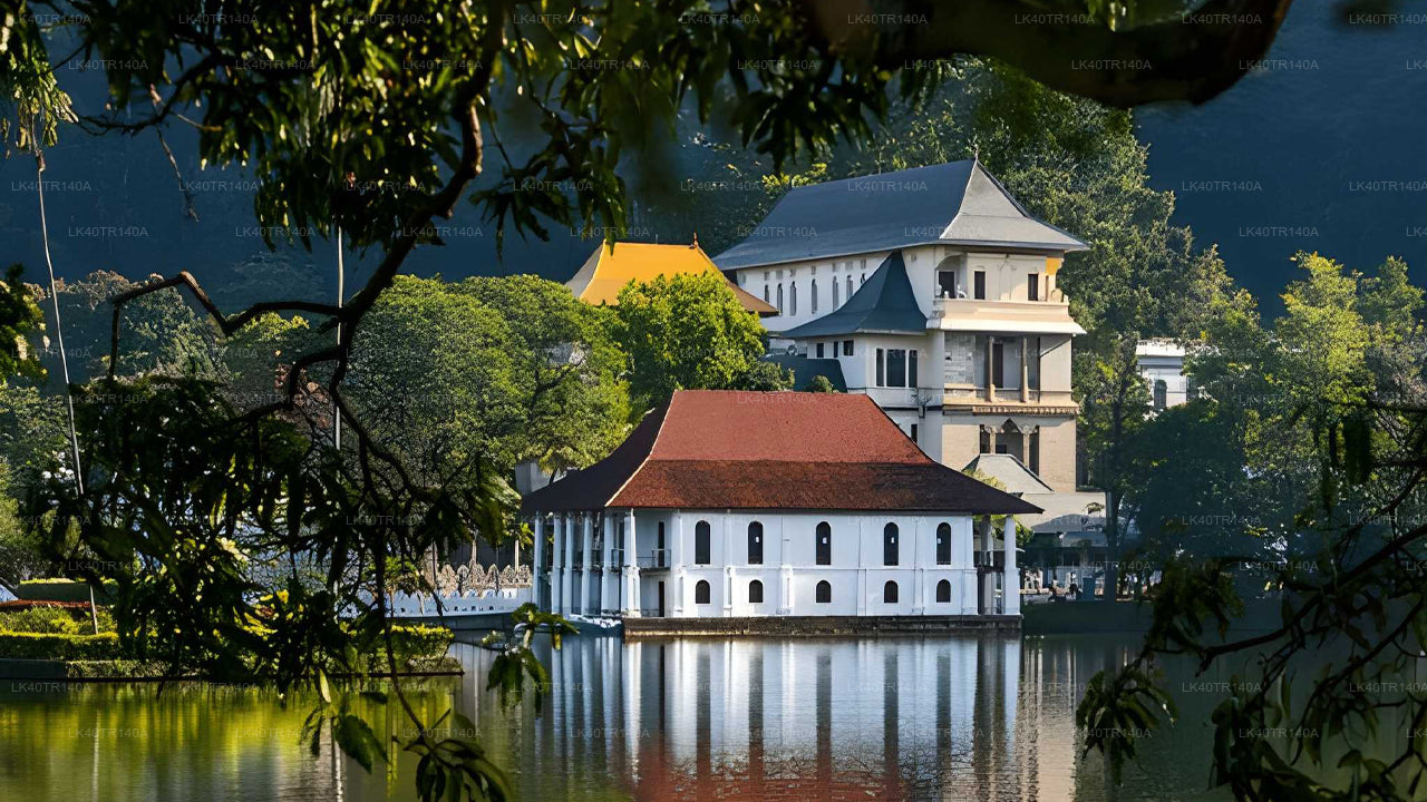 エラからキャンディへ：列車と車またはバンで楽しむ風光明媚な旅