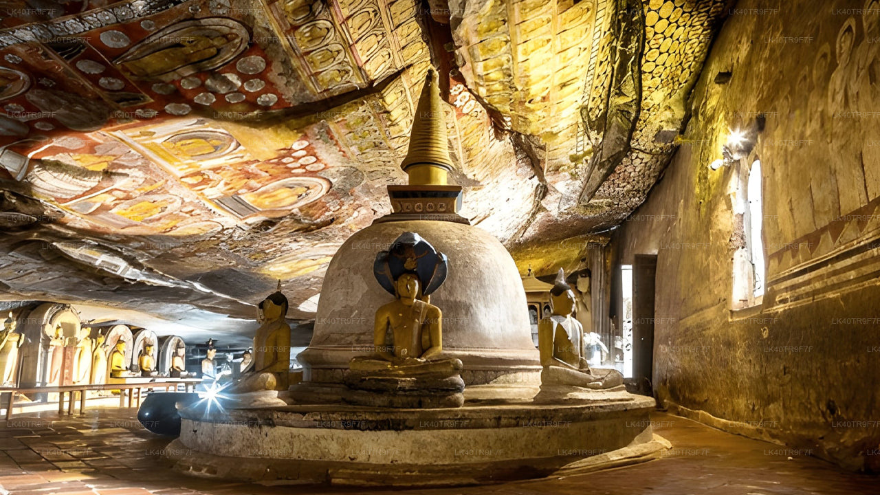 コロンボからシギリヤへの観光付きプライベート送迎