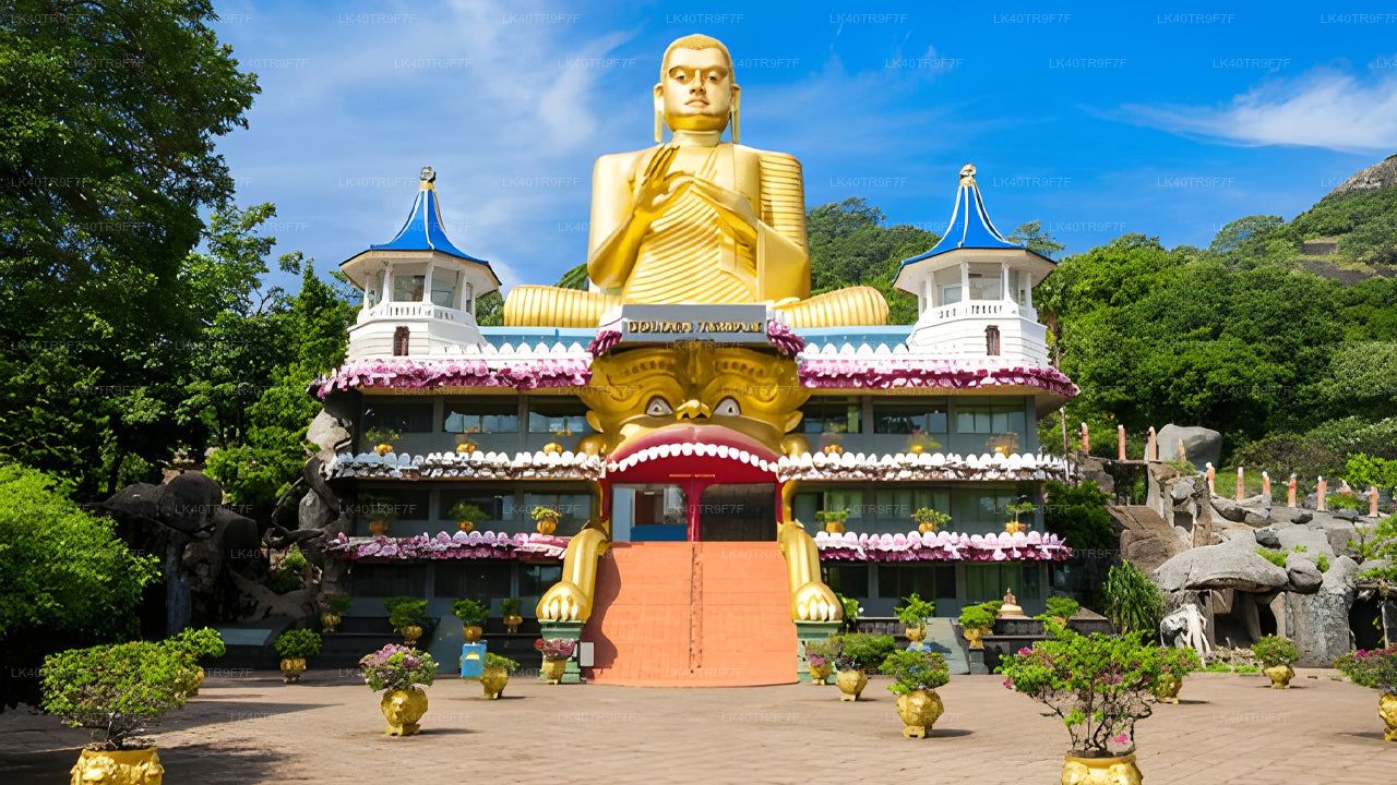 コロンボからシギリヤへの観光付きプライベート送迎