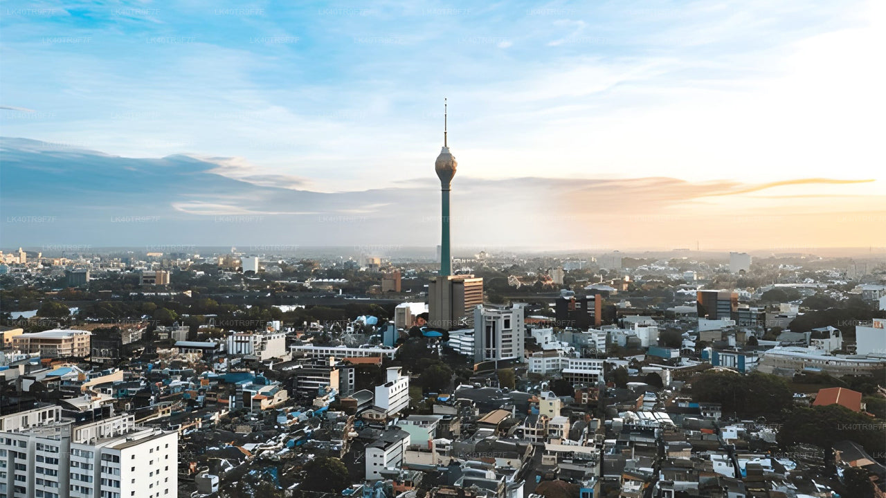コロンボからシギリヤへの観光付きプライベート送迎